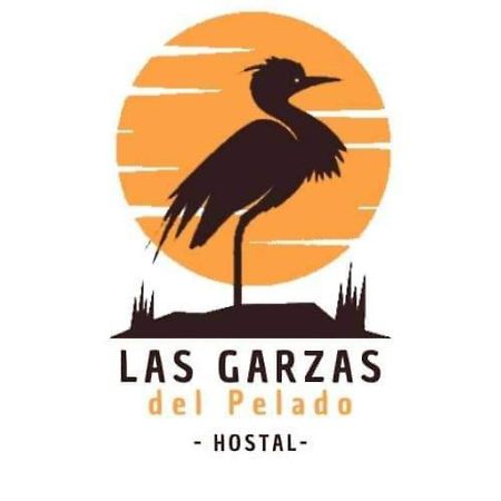 Hostal Las Garzas Del Pelado Playas Ngoại thất bức ảnh