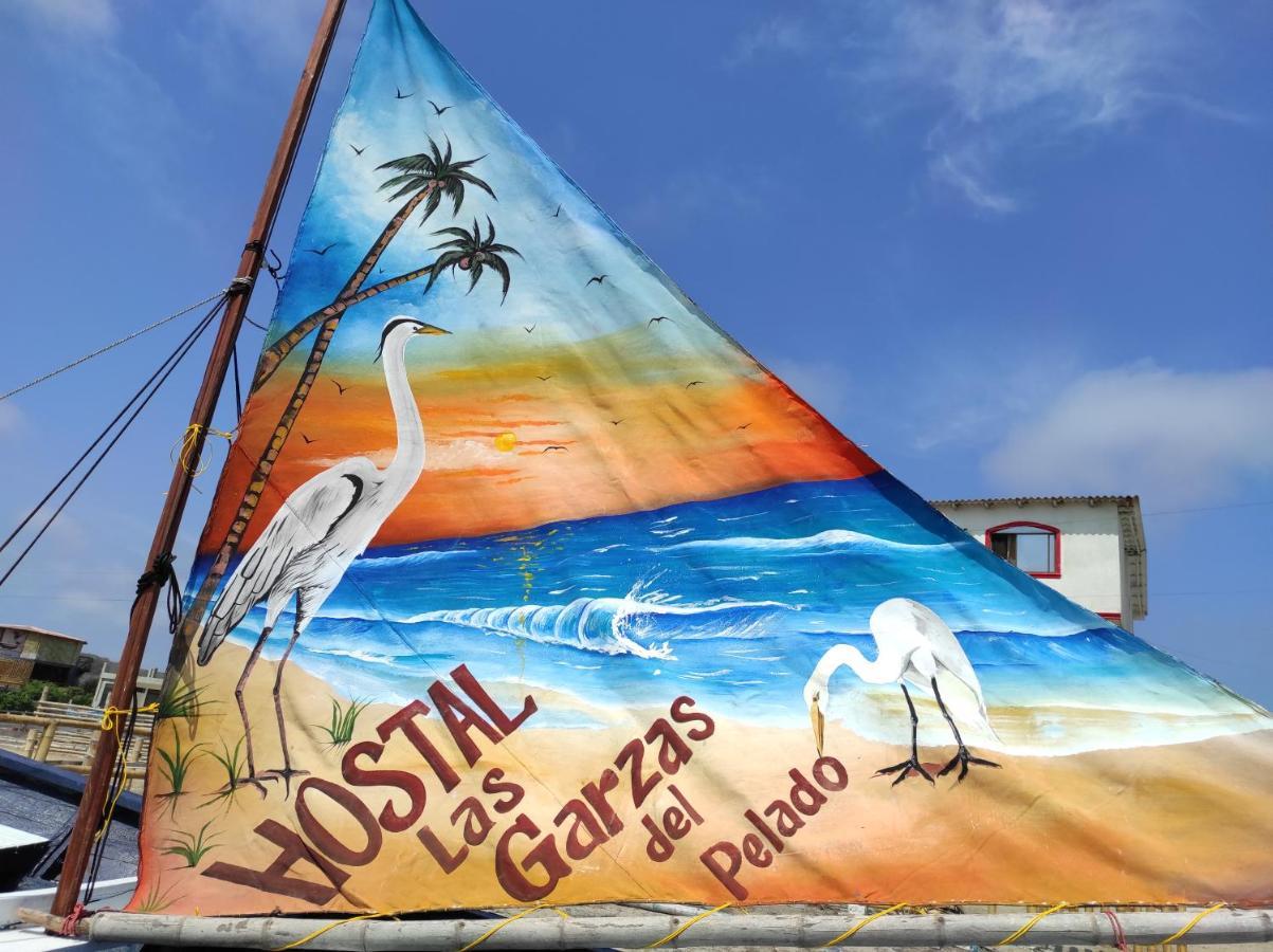 Hostal Las Garzas Del Pelado Playas Ngoại thất bức ảnh