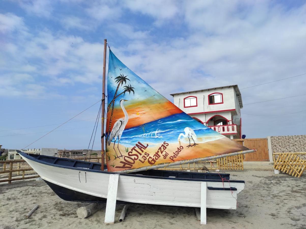 Hostal Las Garzas Del Pelado Playas Ngoại thất bức ảnh