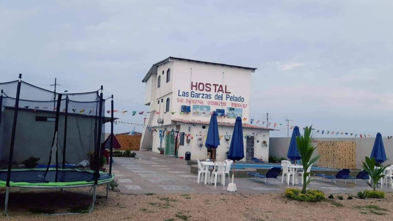 Hostal Las Garzas Del Pelado Playas Ngoại thất bức ảnh